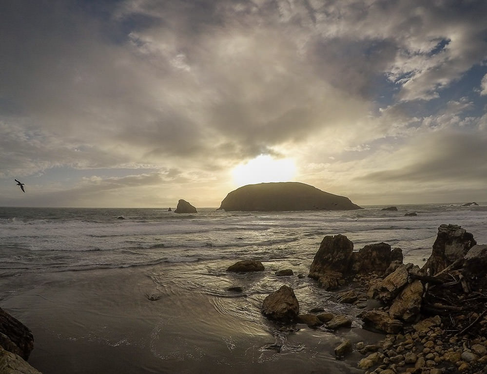 Beach with rocks in the sand and a seagull flying above the water