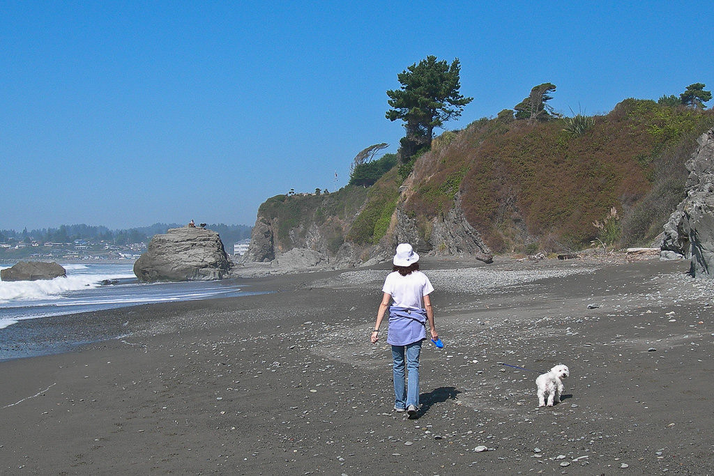 Woman and dog walking along the beach.