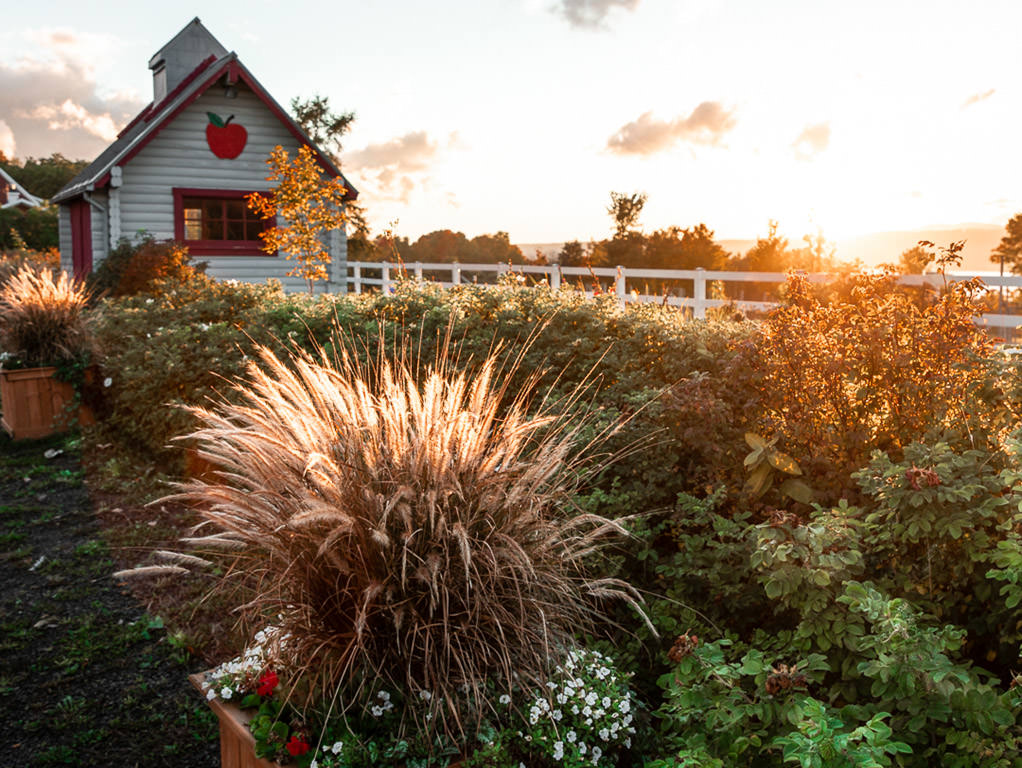 Cider house with changing greens of Fall.
