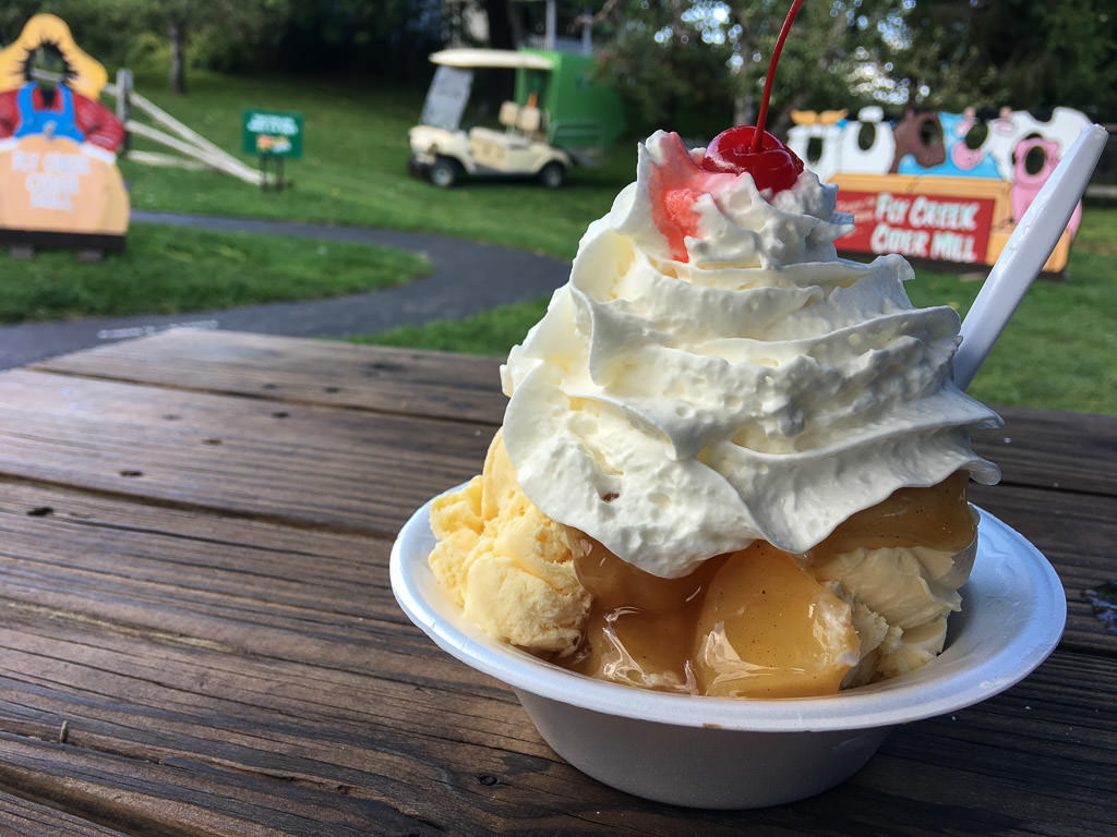 Bowl of Apple Cider Donut Ice Cream